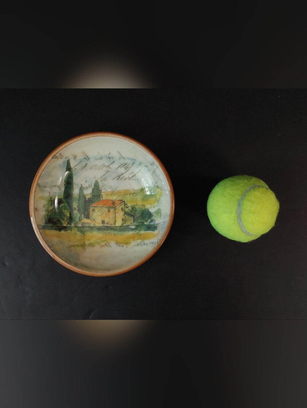 NEW Williams-Sonoma PAYSAGE DIP BOWL 5.75" Diameter